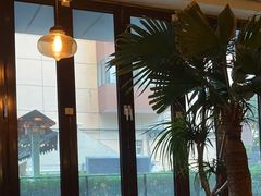 -the rug 飞毯 (朝阳公园店)