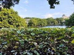 -荔湾湖公园