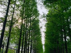 -良渚文化村