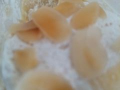 -派斯俊·本味(解放南路店)