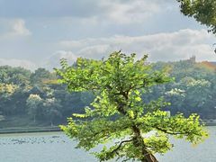 -上海月湖雕塑公园