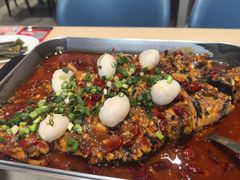 -鱼酷活鱼烤鱼(沈阳大悦城店)