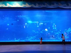 -烟台海昌鲸鲨海洋公园