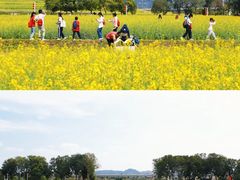 -光明小镇欢乐田园