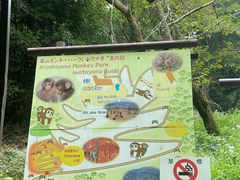 -岚山猴子公园