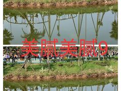 -枫香湖儿童公园