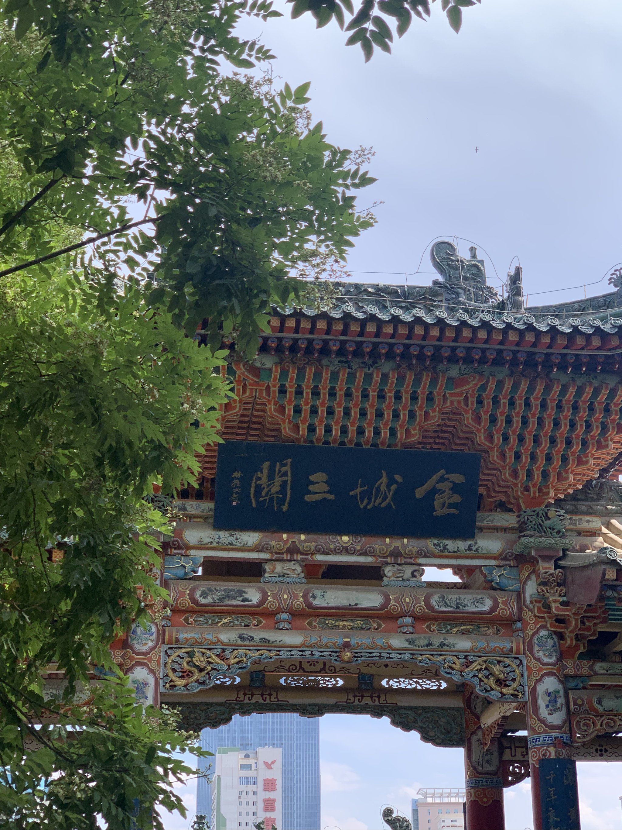 兰州白塔山夏日打卡🍃