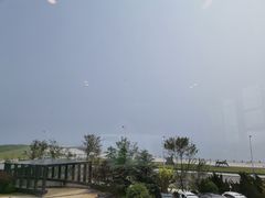 -了不起的考拉咖啡店(高新店)