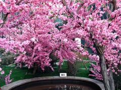 -悦隆庄温泉度假酒店