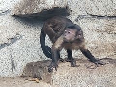 -石家庄市动物园