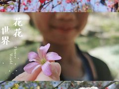 -桃花涧