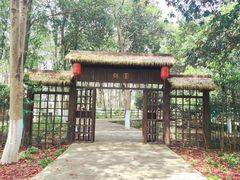 -艾溪湖湿地公园