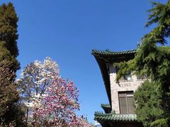 -北京协和医院(东单院区)
