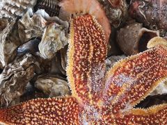 -宾朋海鲜特色美食餐厅·纯手工鲅鱼水饺(兴海路店)