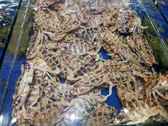 -四姑娘川味海鲜(八爪鱼店)