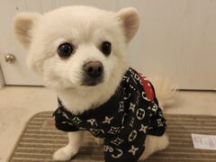 -川香煲(茅台路店)