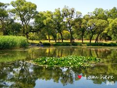 -承德避暑山庄景区