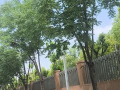-武汉园博园(武汉自然博物馆)