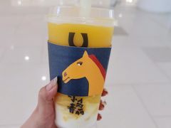 -春丽小马(济南恒隆广场店)