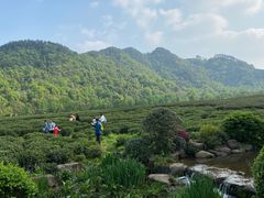 -中国茶叶博物馆(双峰馆区)