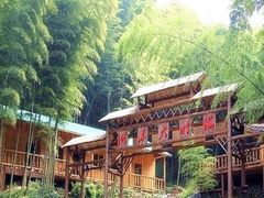 -宁波浙东大竹海景区