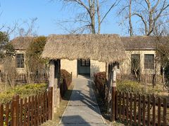 -盐城丹顶鹤湿地生态旅游区