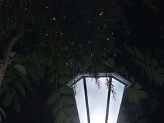 -鹭江潮餐厅•福建菜(鹭江佲家酒店)