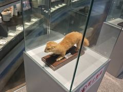 -天津古林古海岸遗迹博物馆