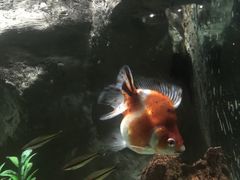 景点-苏州海洋馆