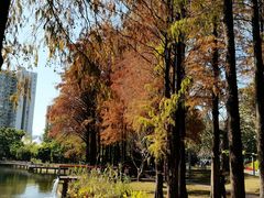 -四海公园(南山区)