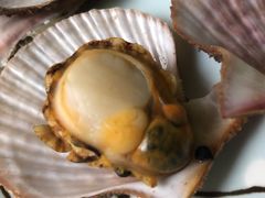 -宾朋海鲜饭庄(兴海路店)