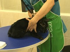 -爱诺耐芙动物医院(万博店)