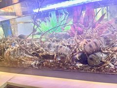 -济南凯宾斯基酒店-THE VIEW云景全日制餐厅