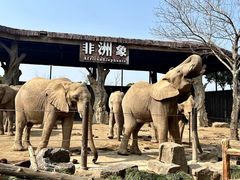 -上海野生动物园