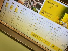 -爷爷不泡茶 NOYEYENOTEA(长沙五江天街店)