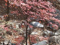 -丹东市五龙山风景区