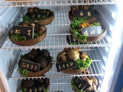-爱膳菌锅锅(阳南店)