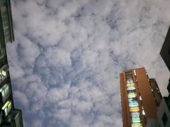 -boundaries籬苑(瑞光创意工厂-贰号院店)