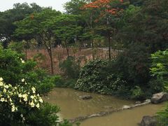 -云溪植物园