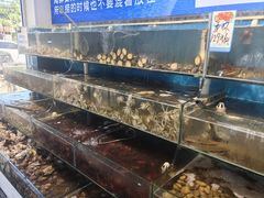 -仙螺岛海鲜自助餐厅(总店)