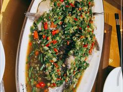 -蜀竹情酒楼(北营房店)