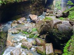 -鹿院坪生态旅游景区