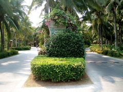 android_upload_pic-三亚亚龙湾红树林度假酒店