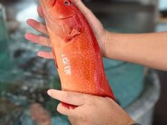 -鑫悦楼煎蟹·16年海鲜大排档