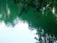 -人民公园(罗湖区)