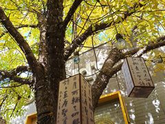 -龙湖星悦荟(颐和店)