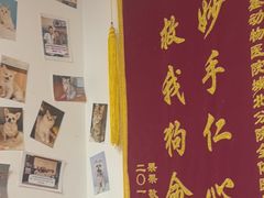 -宠福鑫动物医院(城北分院)