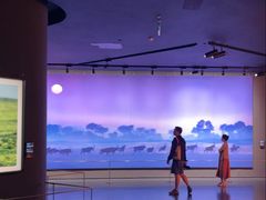 -罗红摄影艺术馆