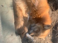 -无锡动物园·太湖欢乐园