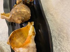 烤海螺-渔娘渔家丹东海鲜(东直门店)